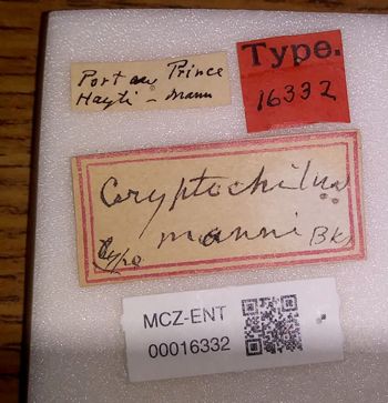 Media type: image;   Entomology 16332 Aspect: labels